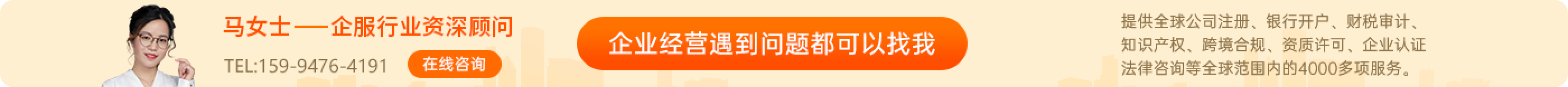 司盟 资深顾问